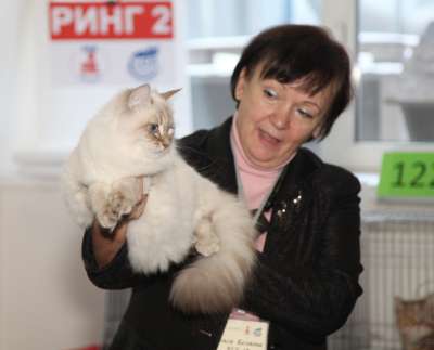 �������� ����� '������� ���-�����' 30 ������-1 ������� 2013., WCF-����� 2585